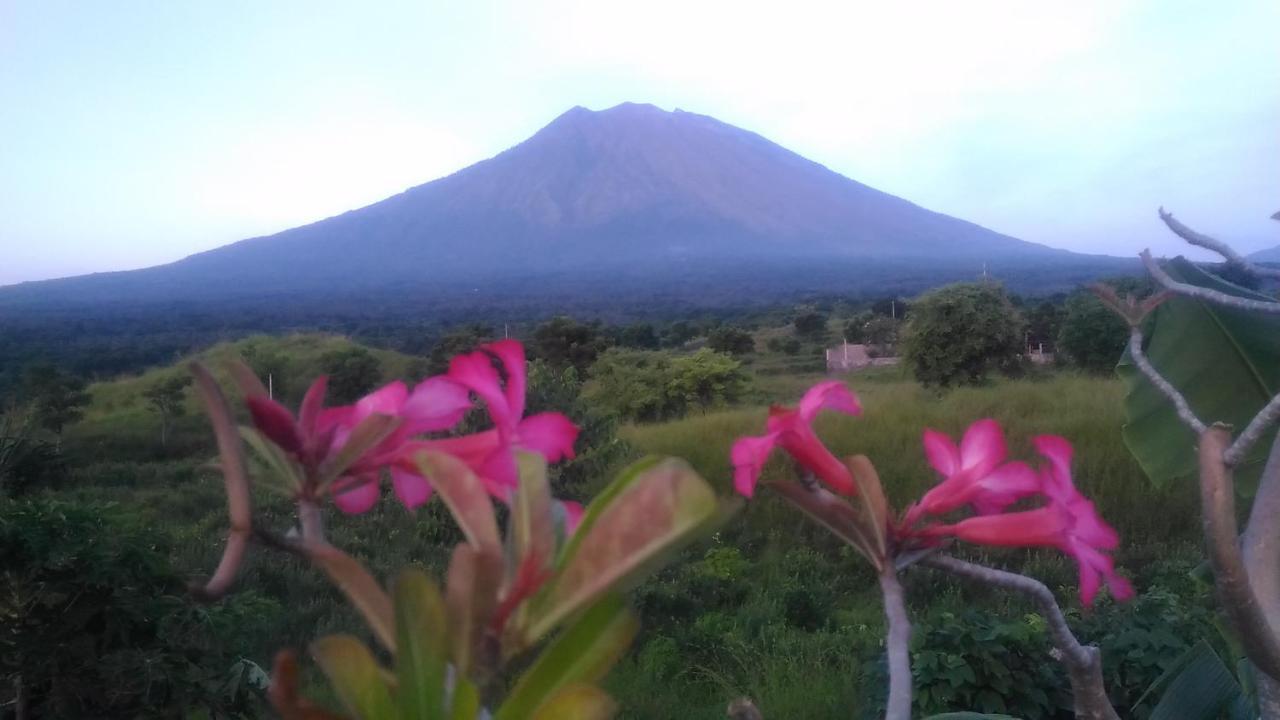 Khrisna Sunrise Homestay Tulamben Exterior foto
